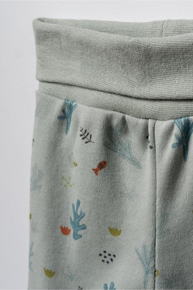 BabyCosy 3 Pieces Baby Boy Bodysuit Set, 100% Organic Cotton